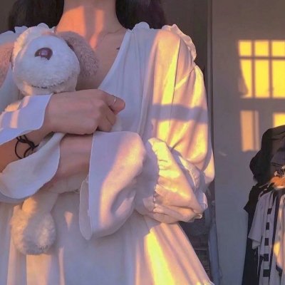 我的女官大人